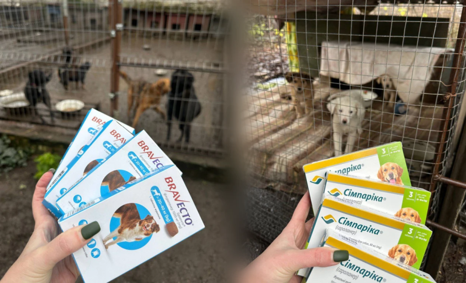 «Добро лікує лапки»: разом передали медикаменти  для хвостатих  