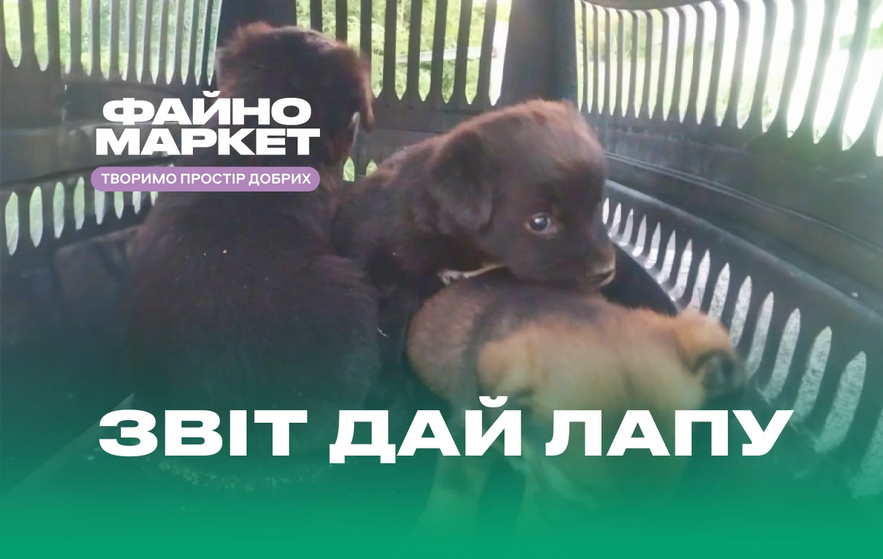 Турбота має значення: медикаменти для підопічних притулку «Юстас» придбано 💚